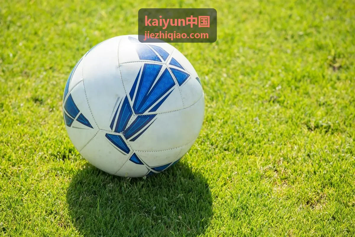 kaiyun中国等级服务页面中的等级与服务项对照展示图