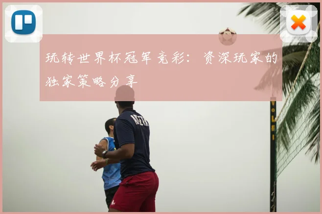 玩转世界杯冠军竞彩：资深玩家的独家策略分享