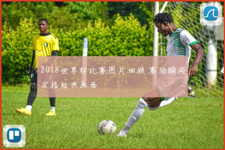 2018世界杯比赛图片回顾 赛场瞬间定格经典画面
